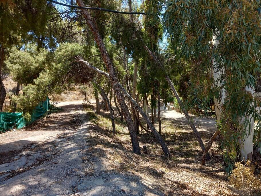Acogedor Bungalow Adosado El Campello Zewnętrze zdjęcie